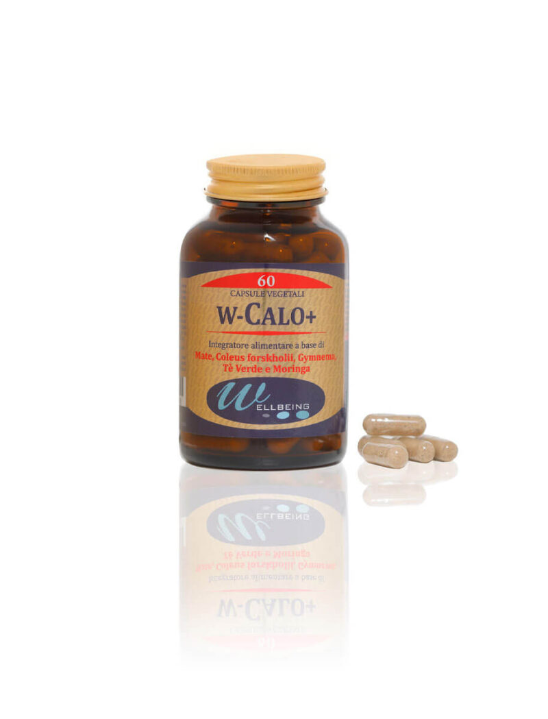 W-Calo+